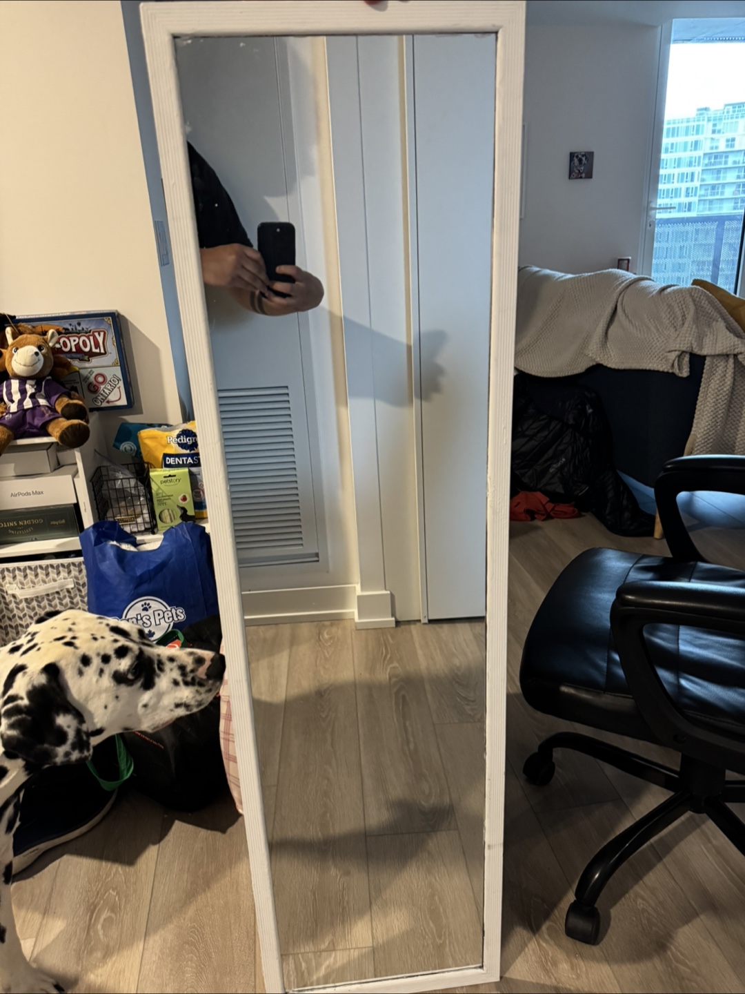 Full Length White Framed Mirror