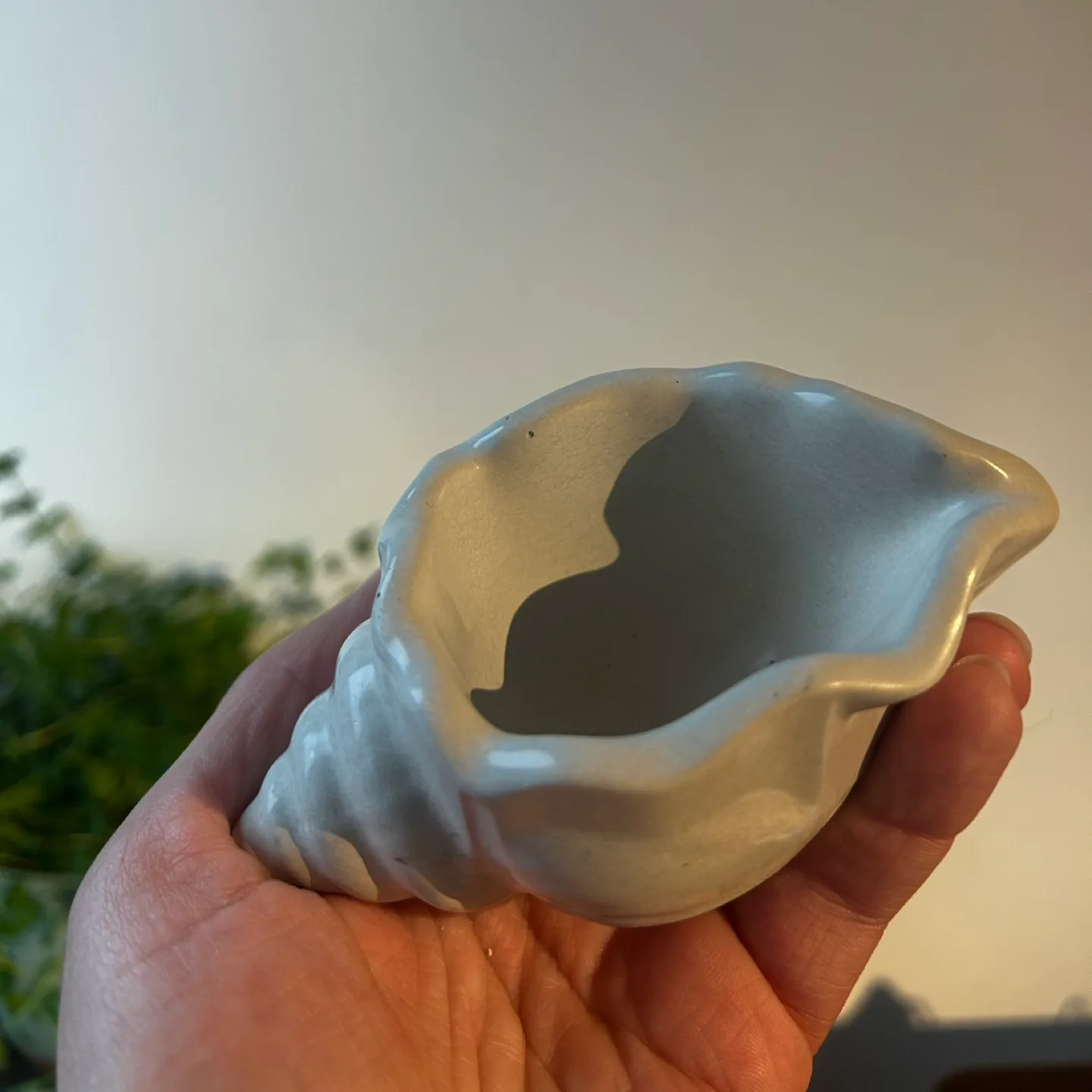 Conch shell trinket bowl (concrete) thumbnail
