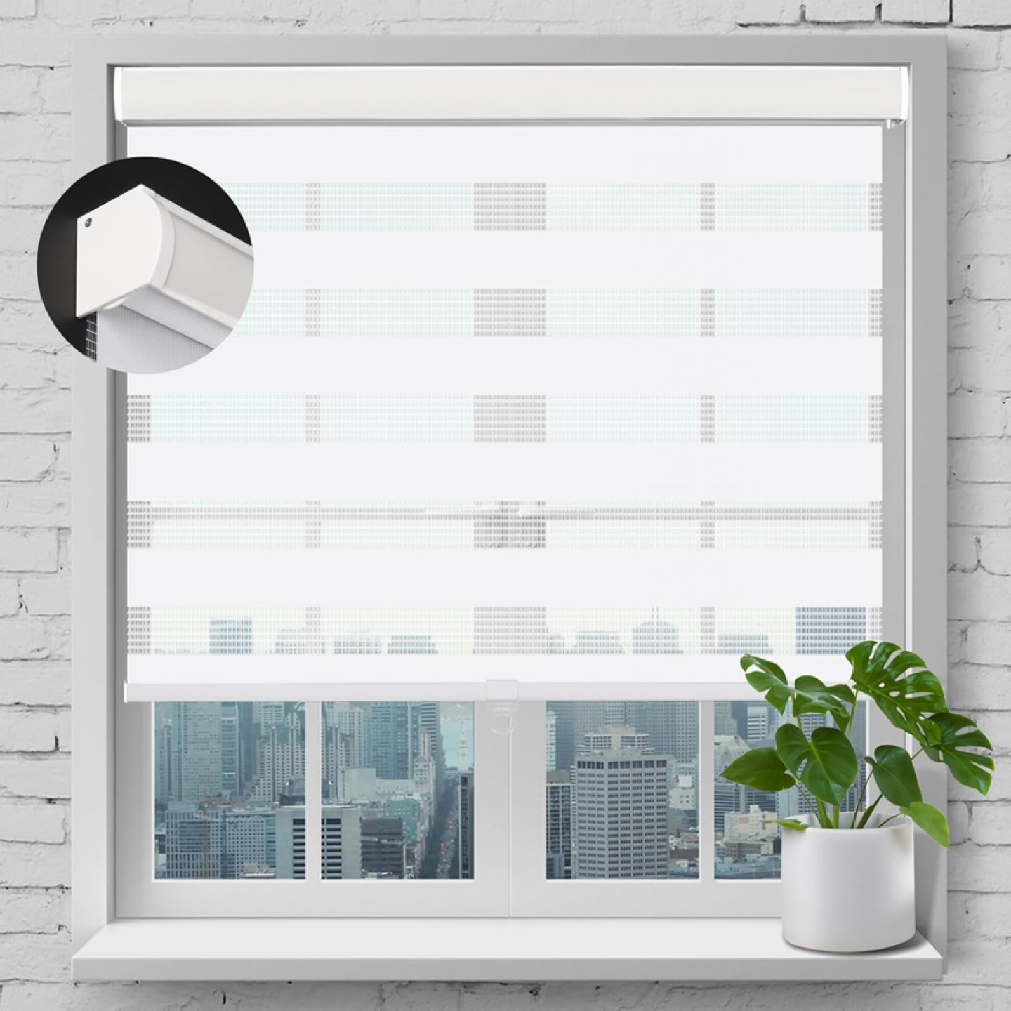 Cordless Zebra Roller Blinds for Window, W44 inch x H72 inch