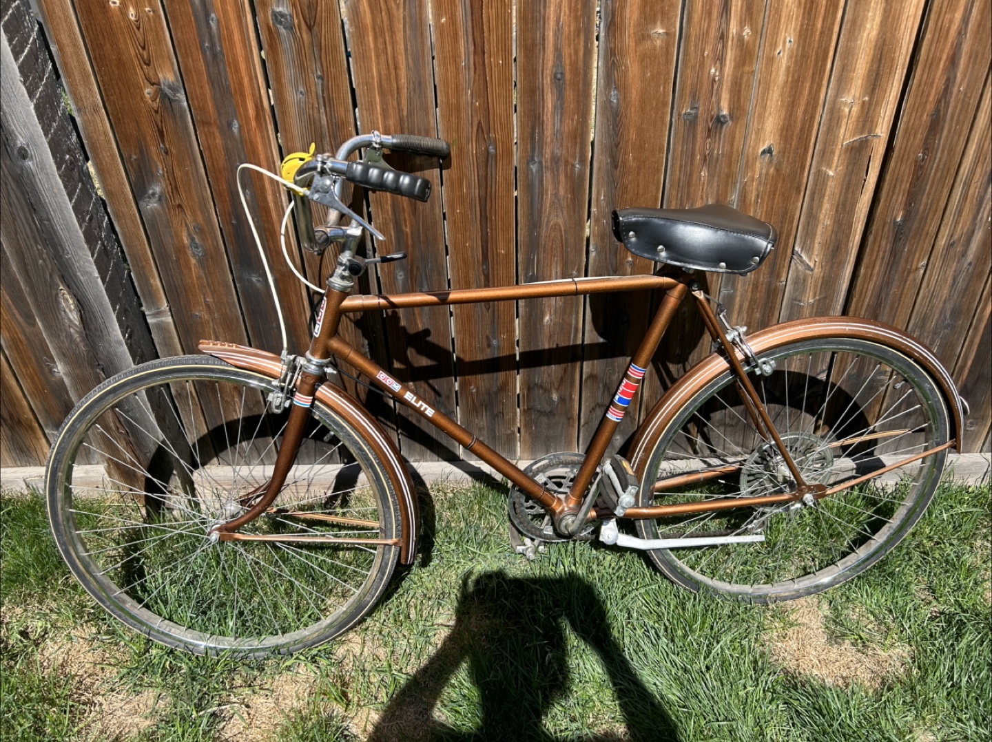 Vintage CCM Elite Men Bicycle