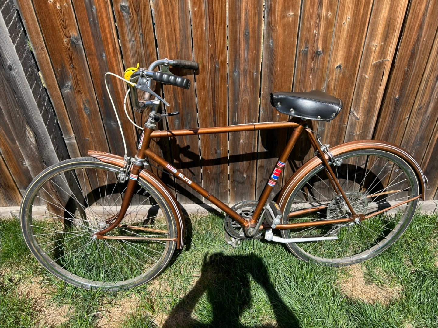 Vintage CCM Elite Men Bicycle Karrot
