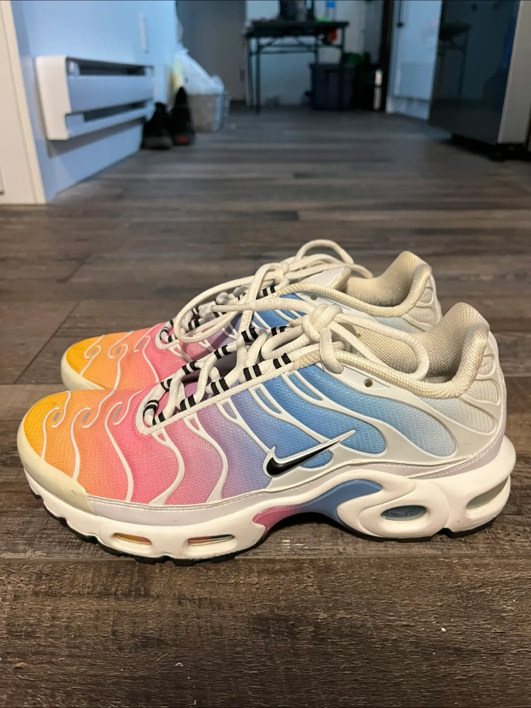Nike Air Max Plus TN Rainbow Gradient Sneakers thumbnail