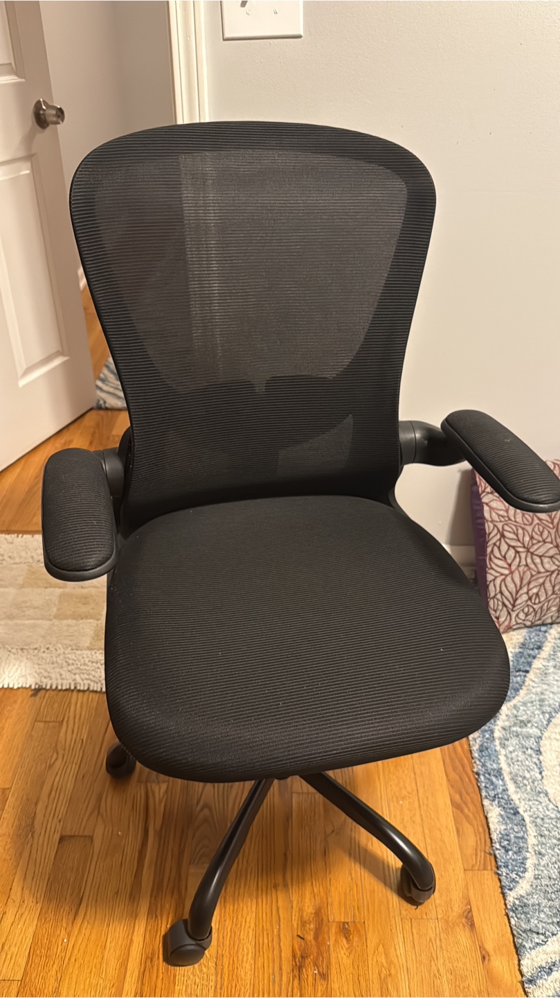 Ergonomic Office Chair with Lumbar Support