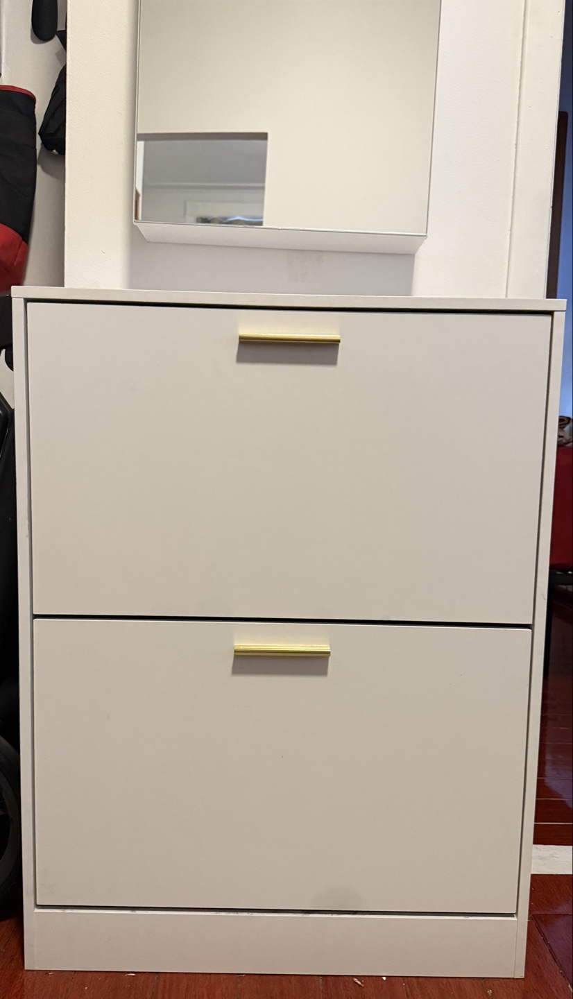 Shoe Cabinet Storage