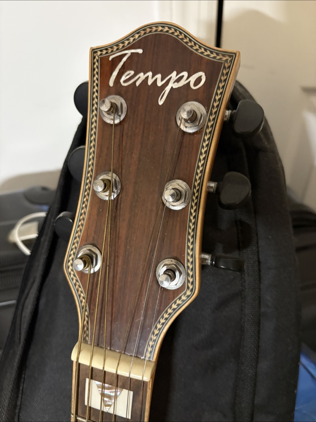 Tempo AG-750C Acoustic Guitar with Gig Bag - photo 2