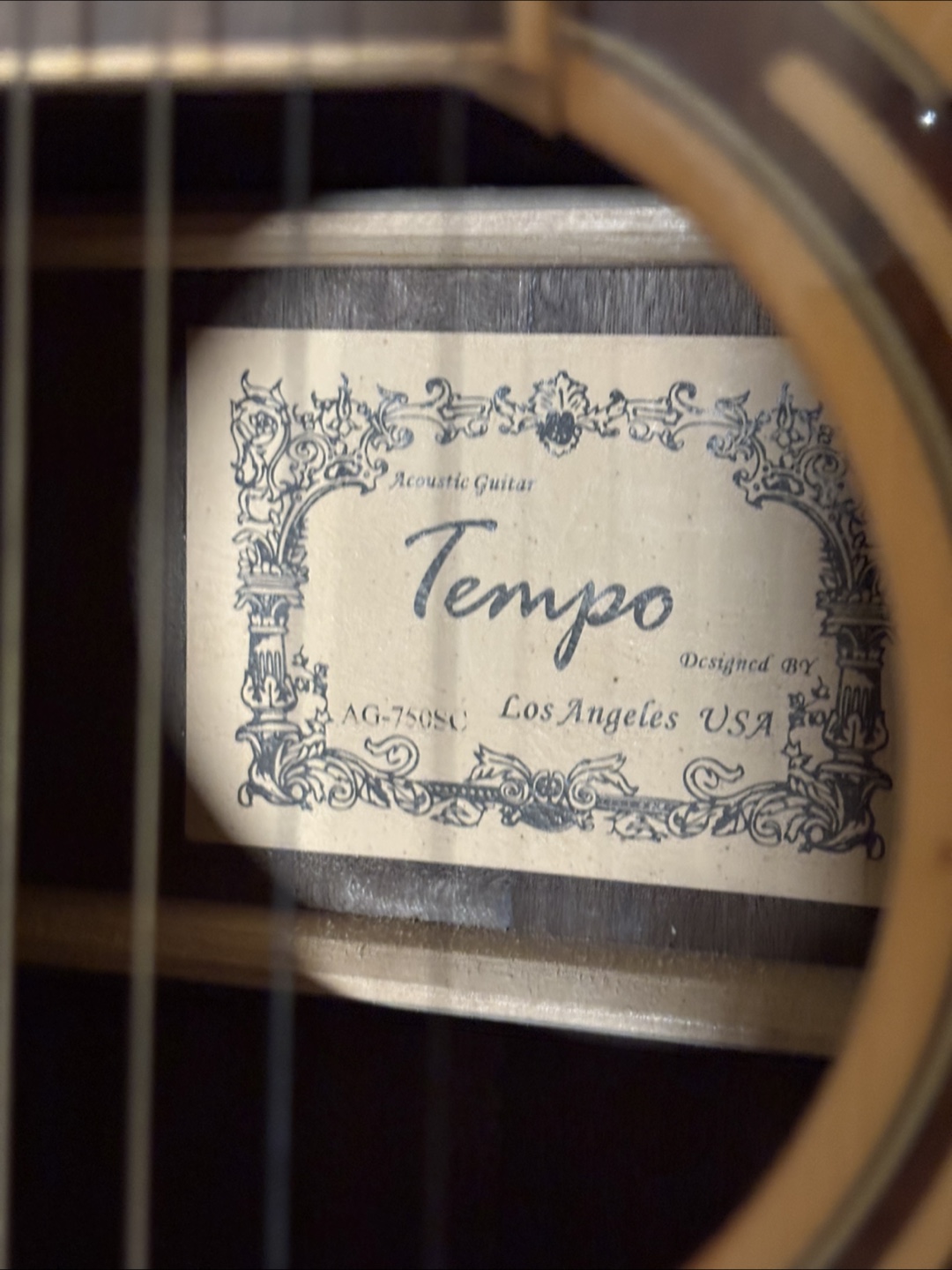 Tempo AG-750C Acoustic Guitar with Gig Bag - photo 3