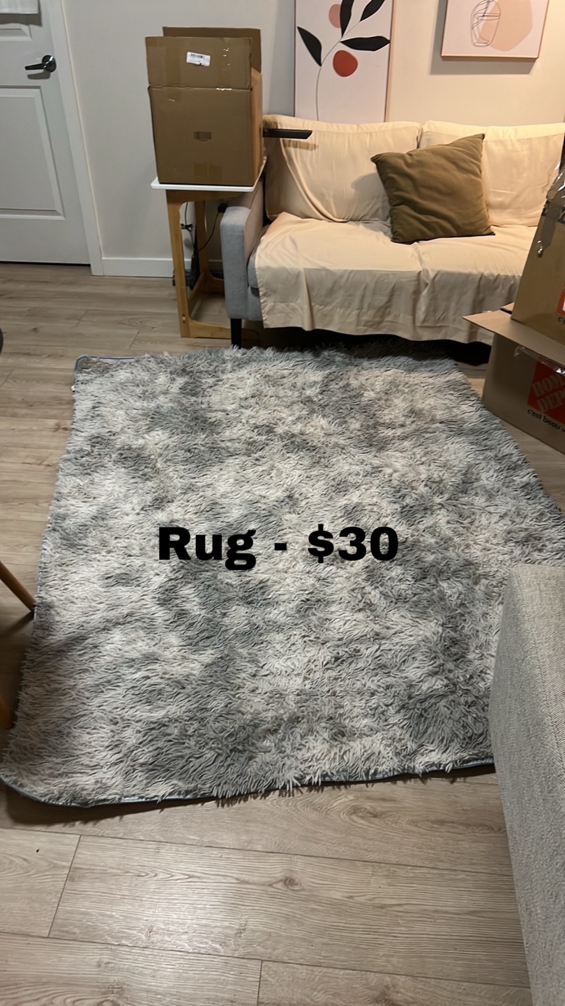 Fluffy Grey Rug - $30