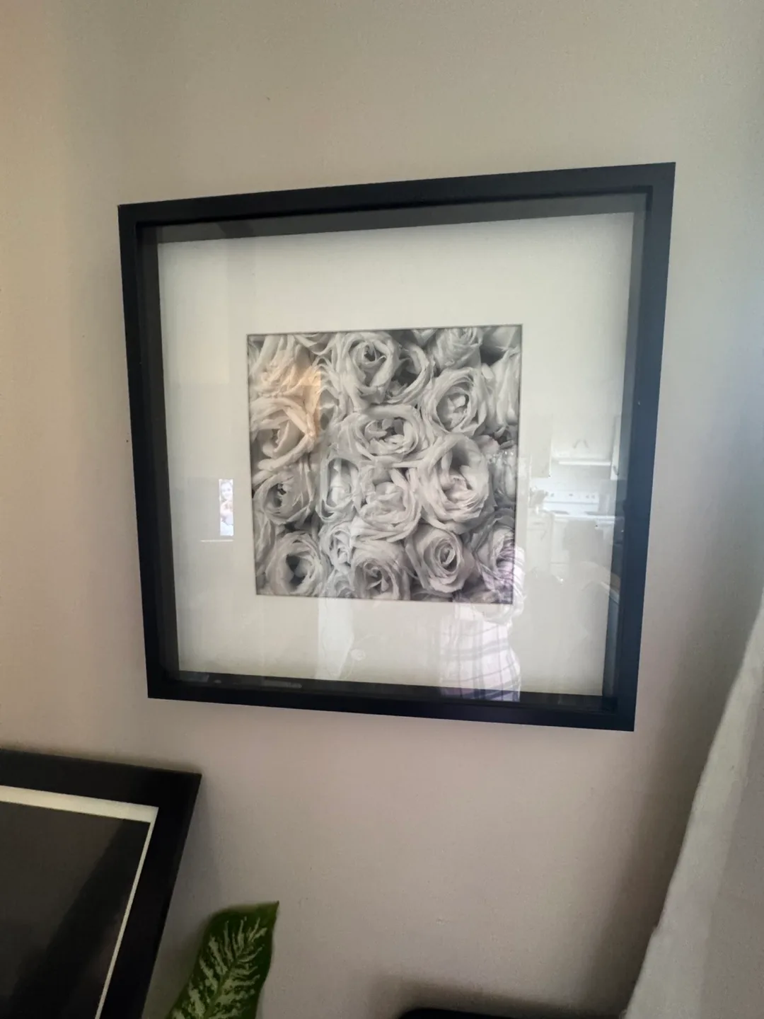 Framed Black and White Rose Print thumbnail