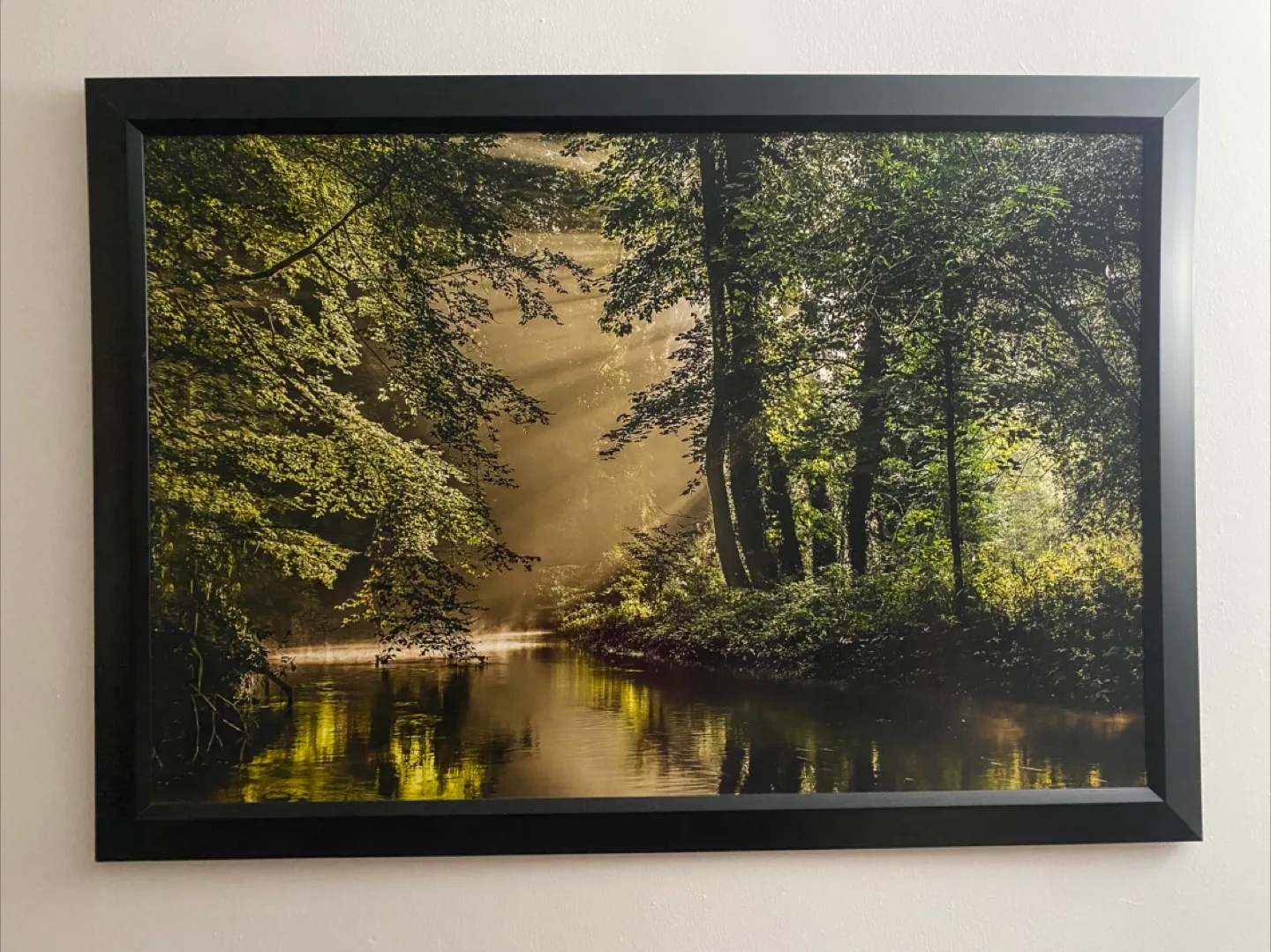 Set of Three Framed Nature Prints thumbnail