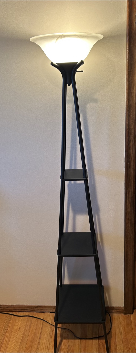 Black Floor Lamp with 3 Shelves