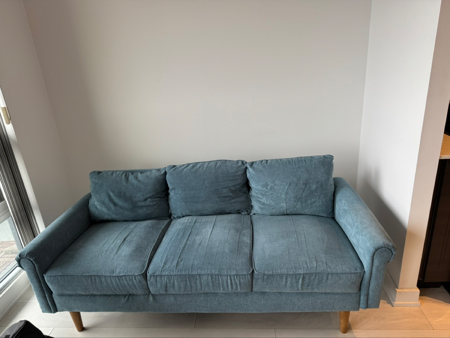 Wayfair Modern Sofa - Light Blue