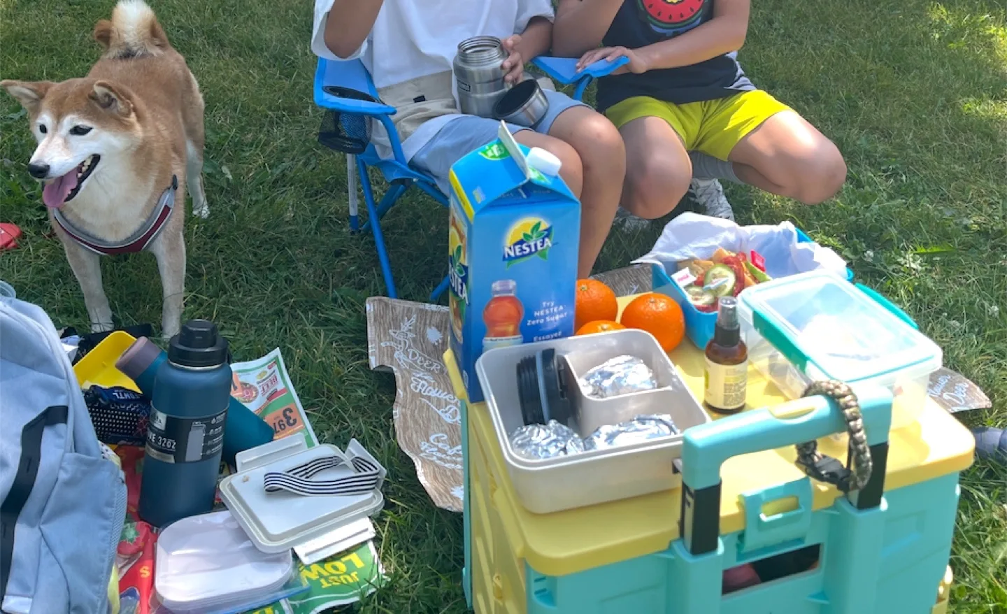 90% new✨🌈Portable Collapsible Shopping Cart with Wheels image indicator(8)