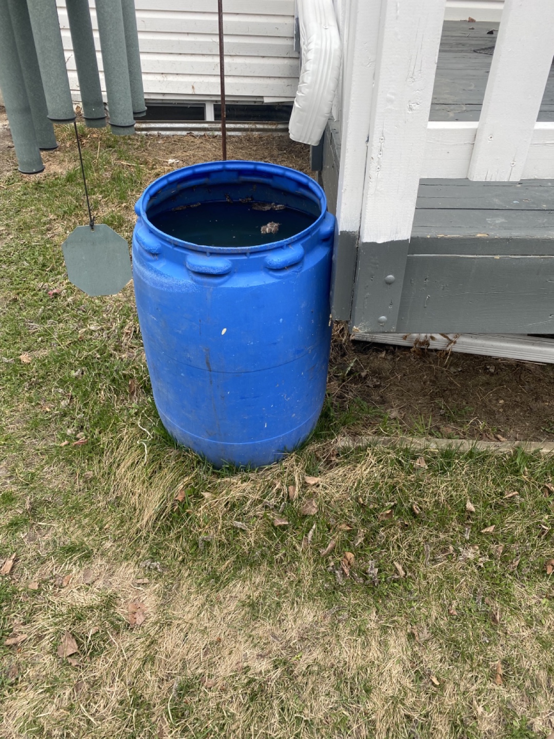 Blue Plastic Rain Barrel