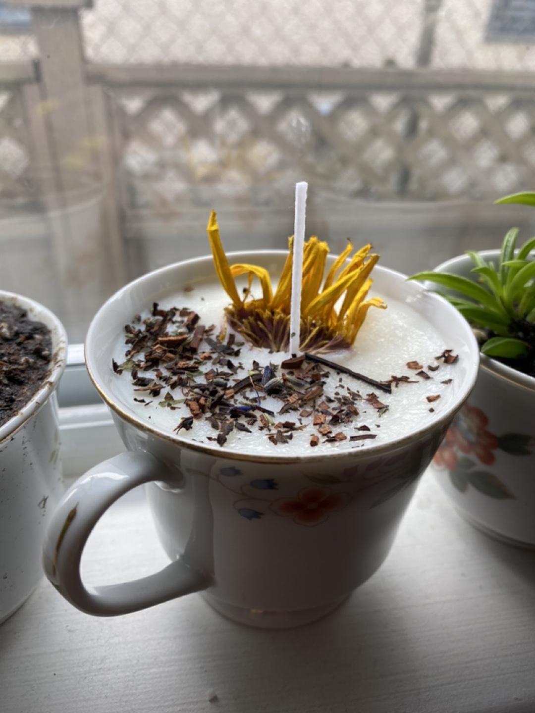 Vintage Teacups With Candles & Plant Varieties