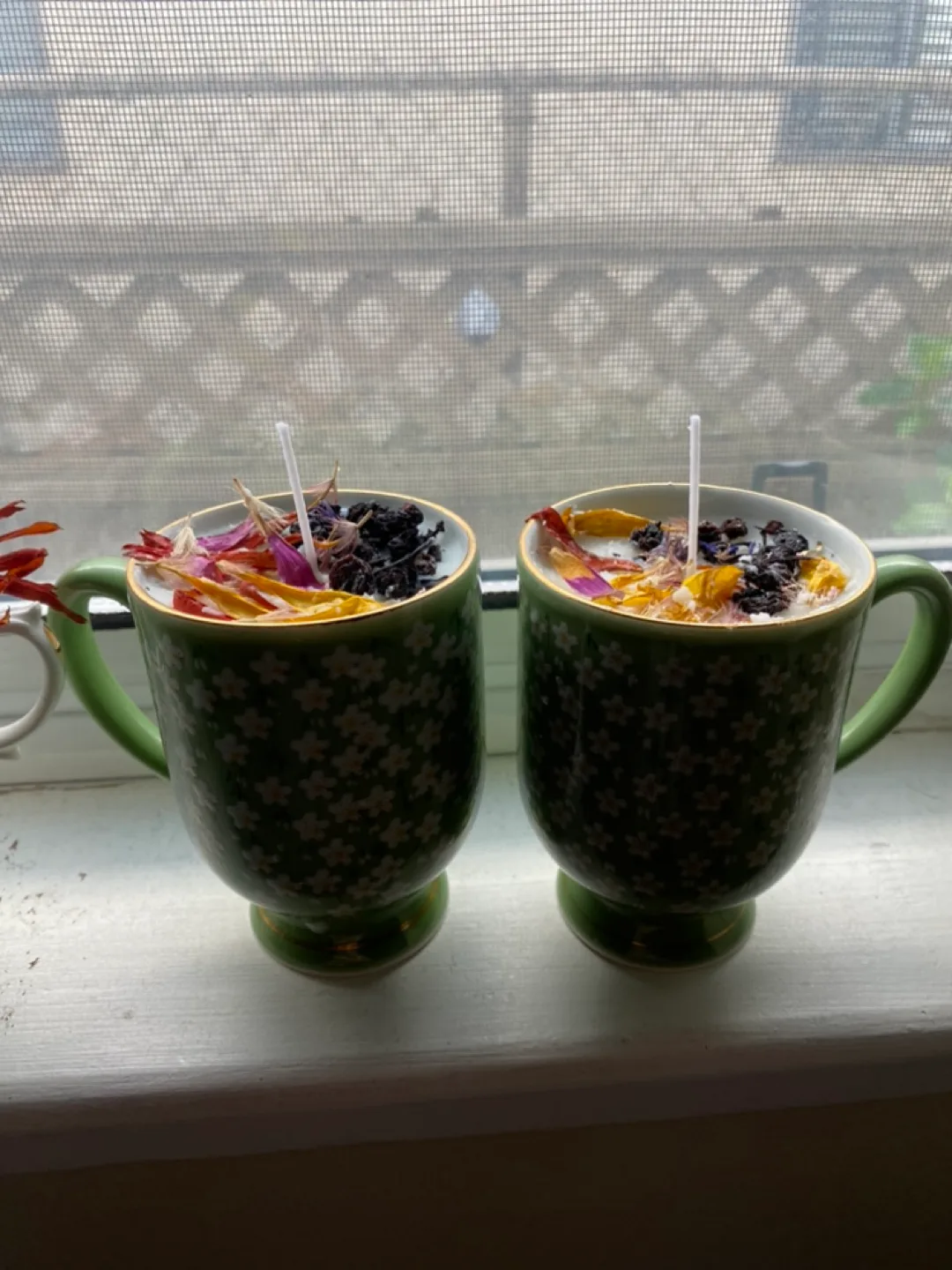 Vintage Teacups With Candles & Plant Varieties image indicator(10)