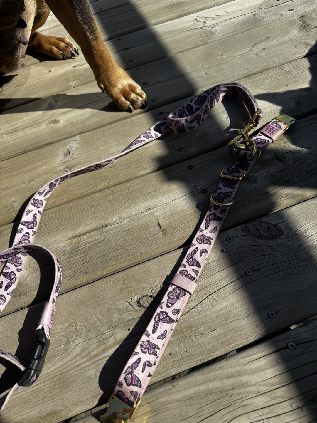 Tags For Hope Butterfly Dog Collar and Leash Set - photo 4