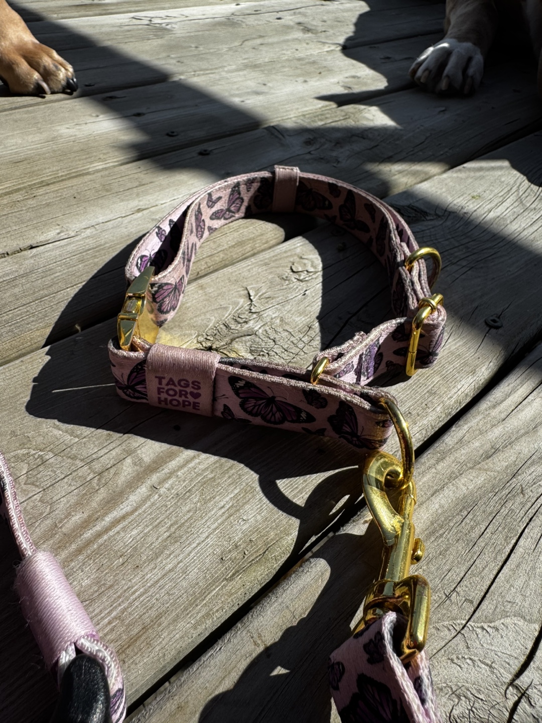 Tags For Hope Butterfly Dog Collar and Leash Set - photo 5