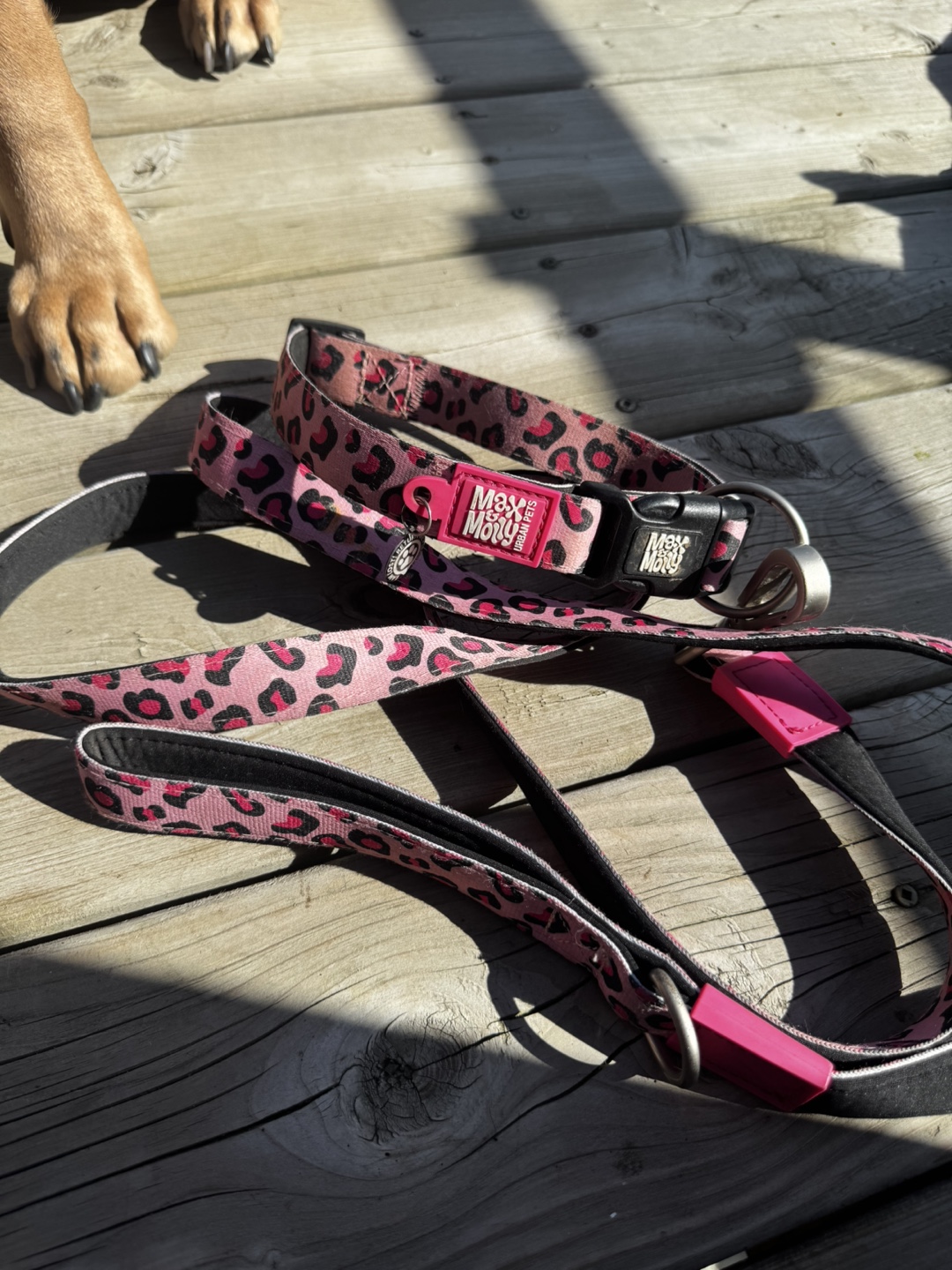 Pink Leopard Print Dog Collar and Leash Set - photo 2