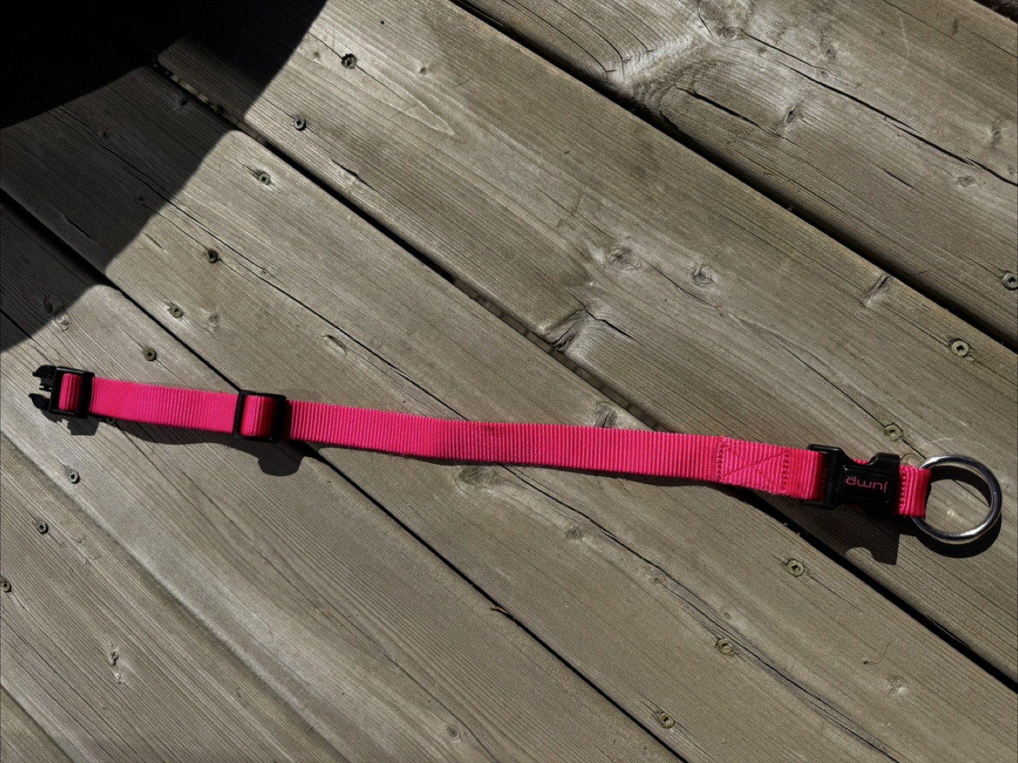 Pink Dog Collar