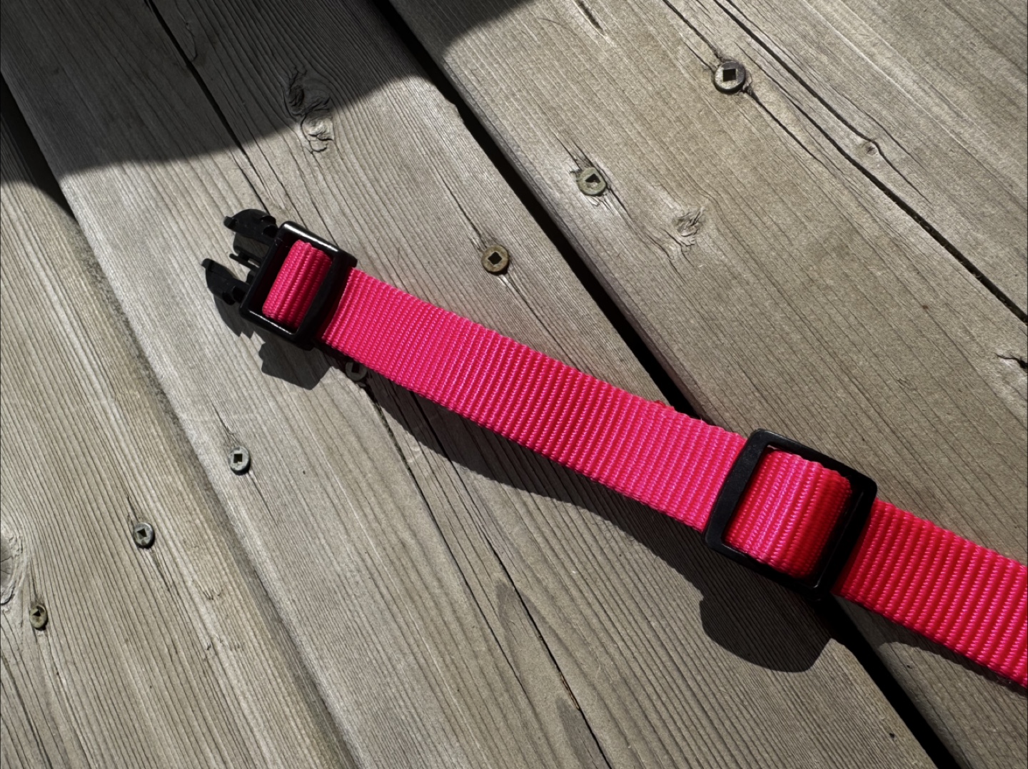 Pink Dog Collar - photo 3