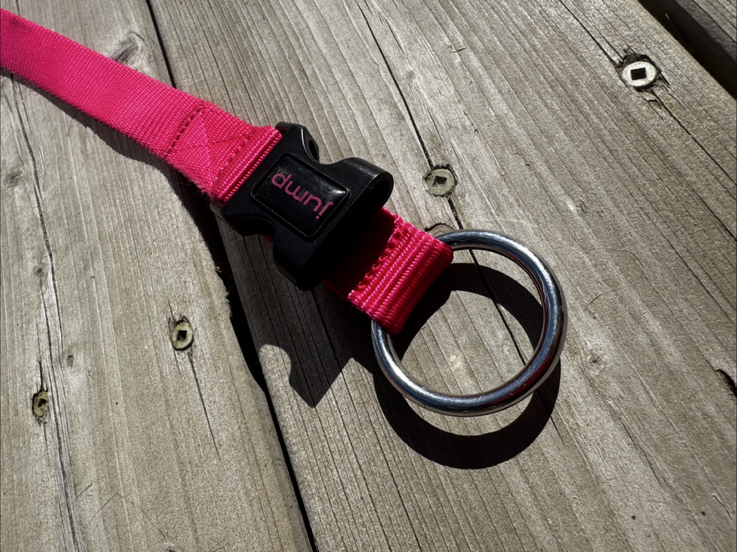 Pink Dog Collar - photo 2