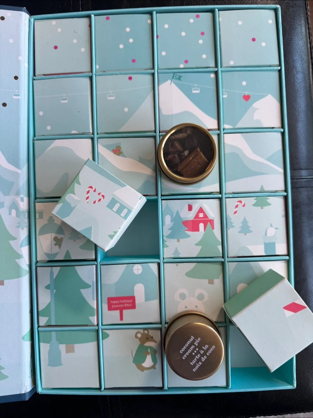 DavidsTea Advent Calendar Box 🧡 image indicator(5)