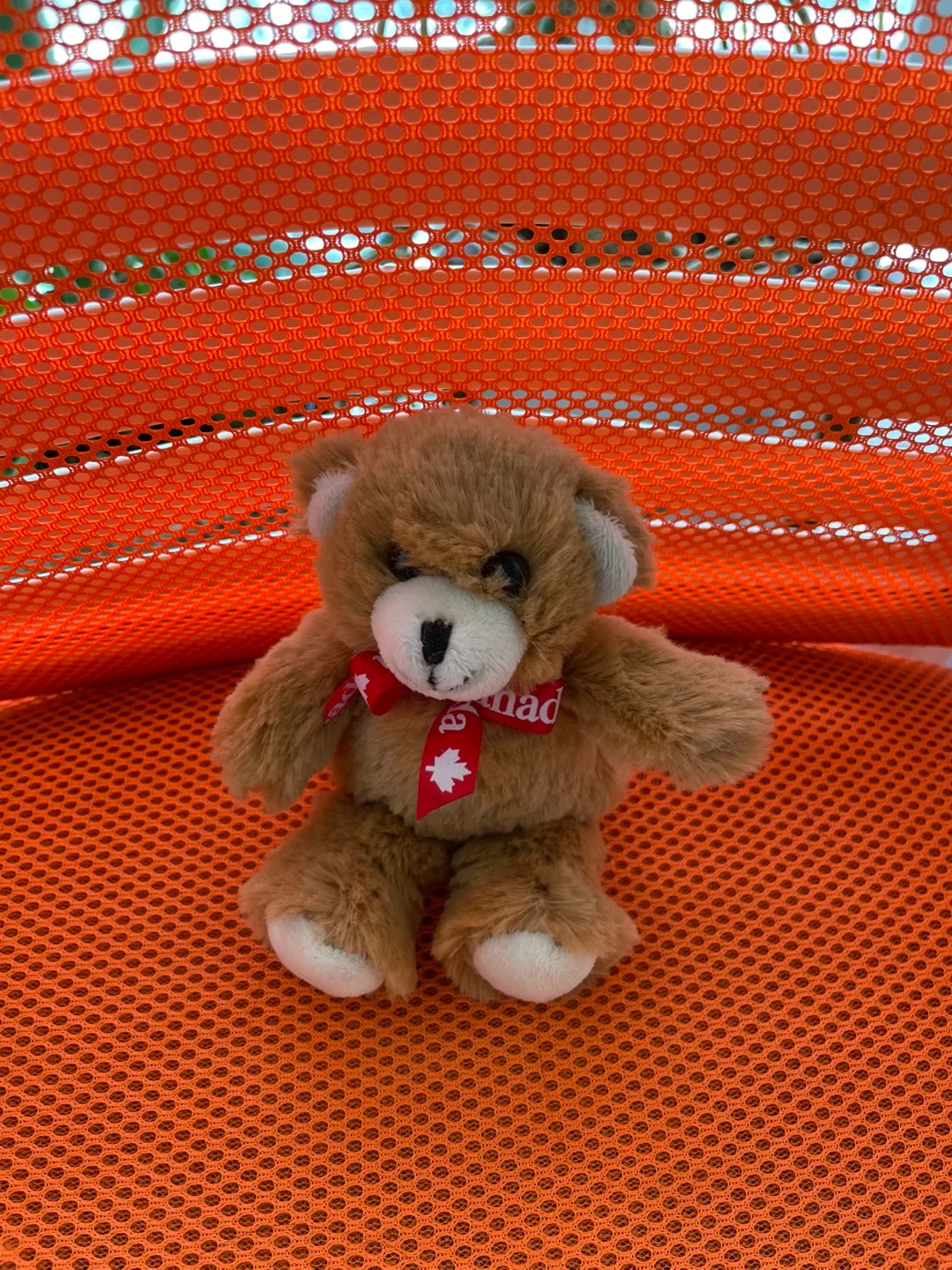 Brown Teddy Bear with Canada Ribbon 🧡 thumbnail
