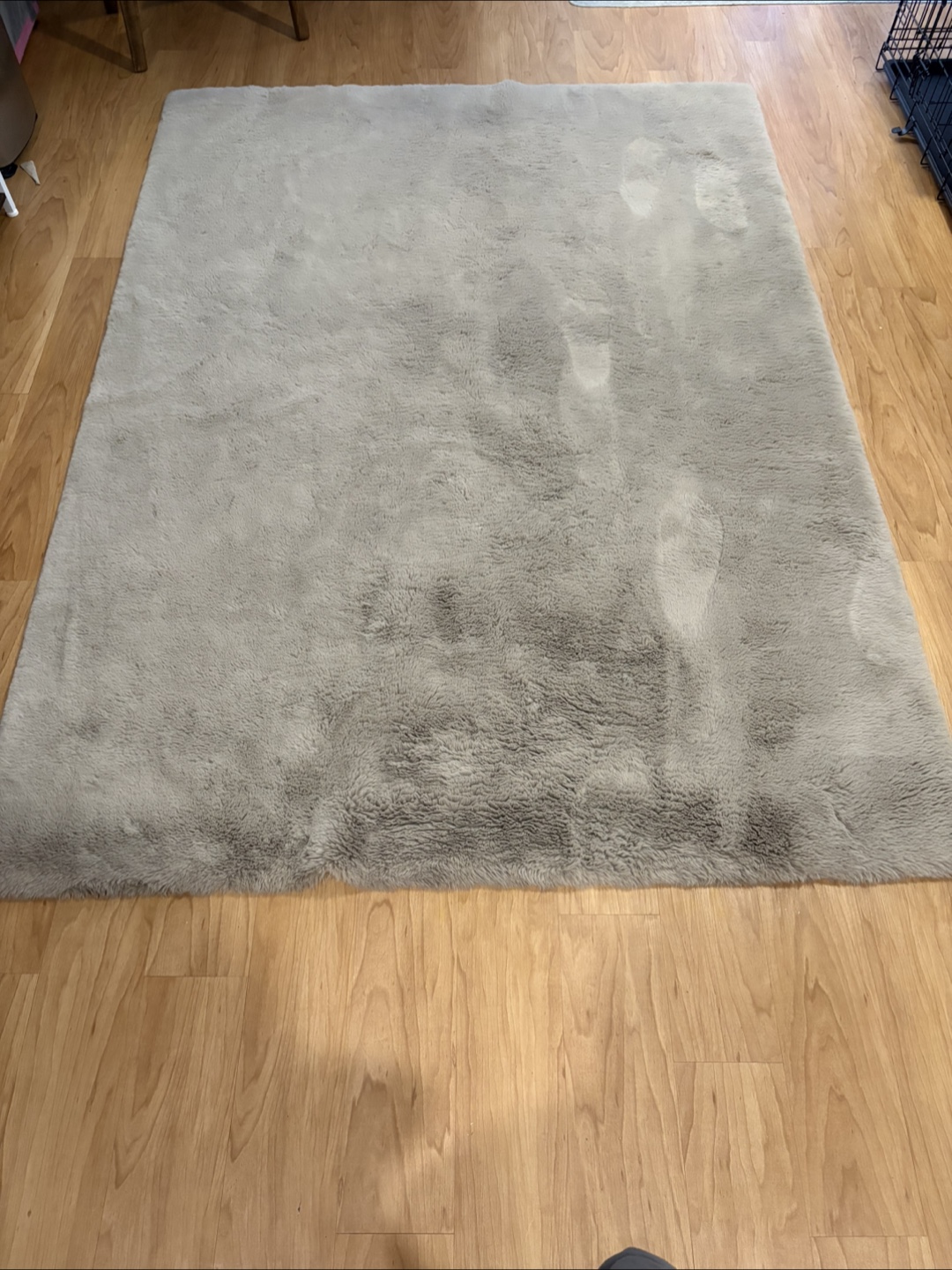Soft Grey 5x7 Costco Rug