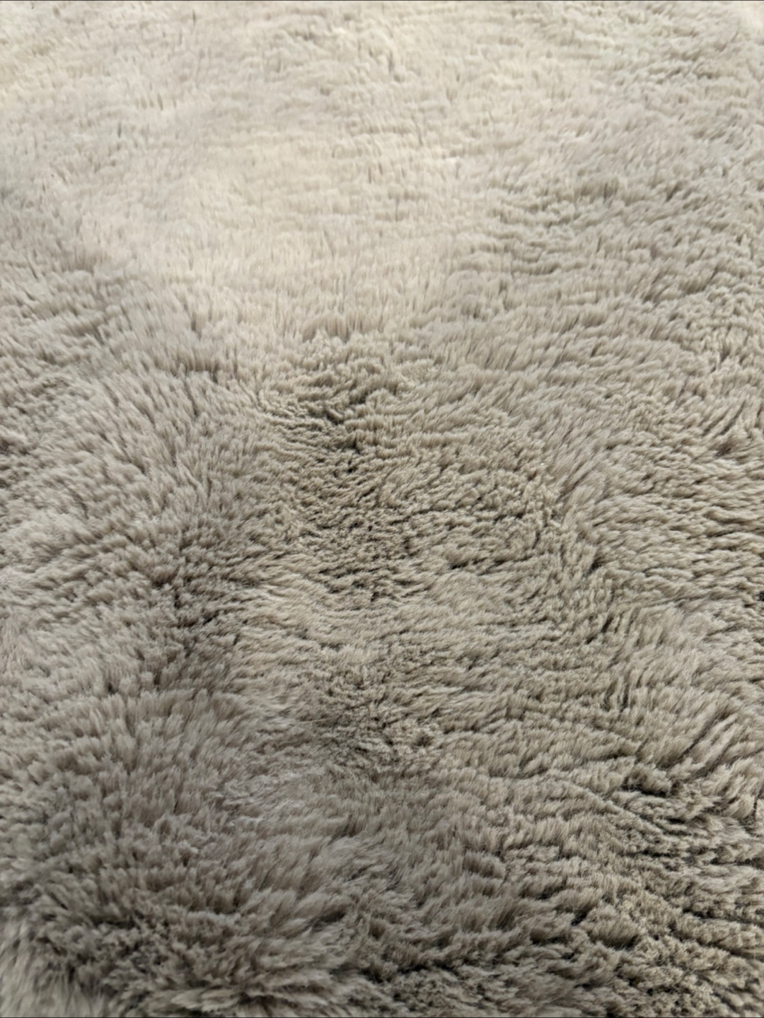 Soft Grey 5x7 Costco Rug - photo 2