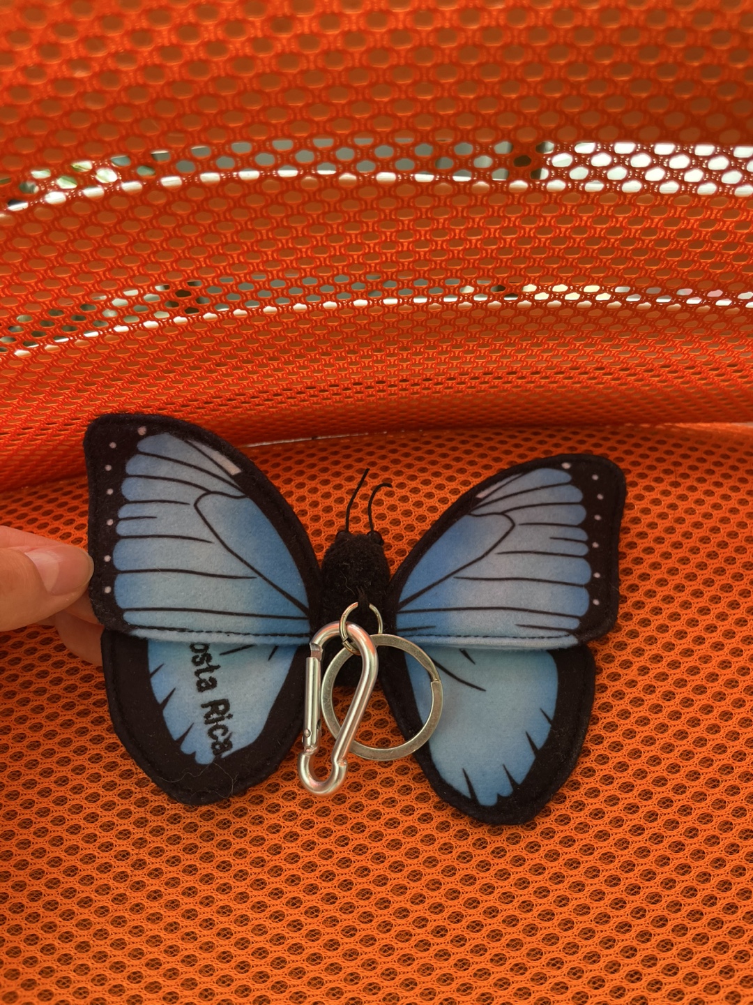Costa Rica Butterfly Keychain