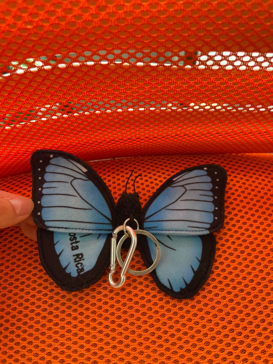 Costa Rica Butterfly Keychain thumbnail