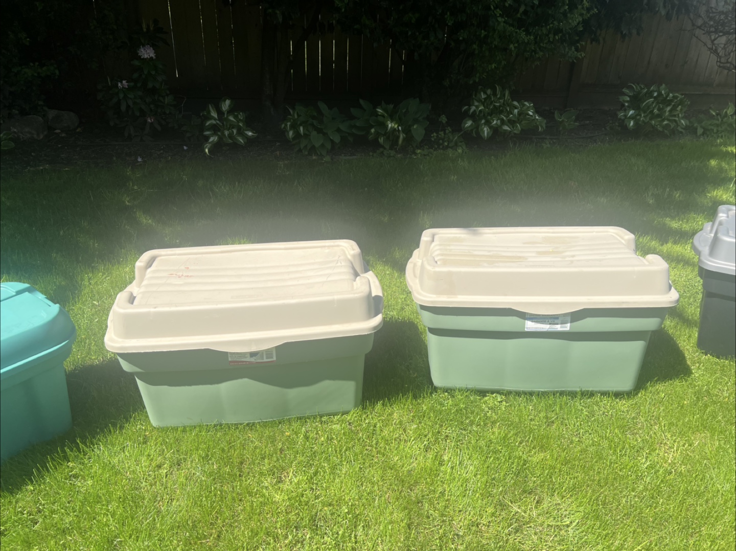Assorted Plastic Storage Containers