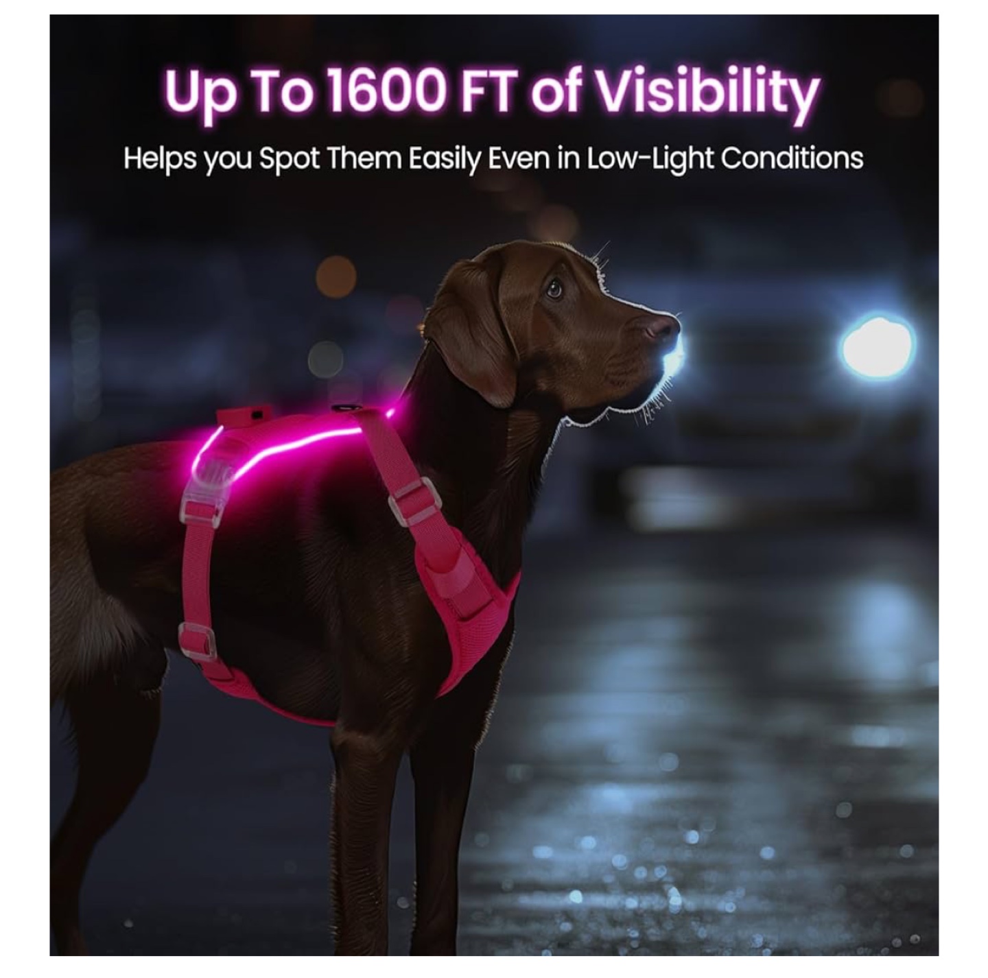 LED Light Up Dog Harness - Pink, XL - photo 3