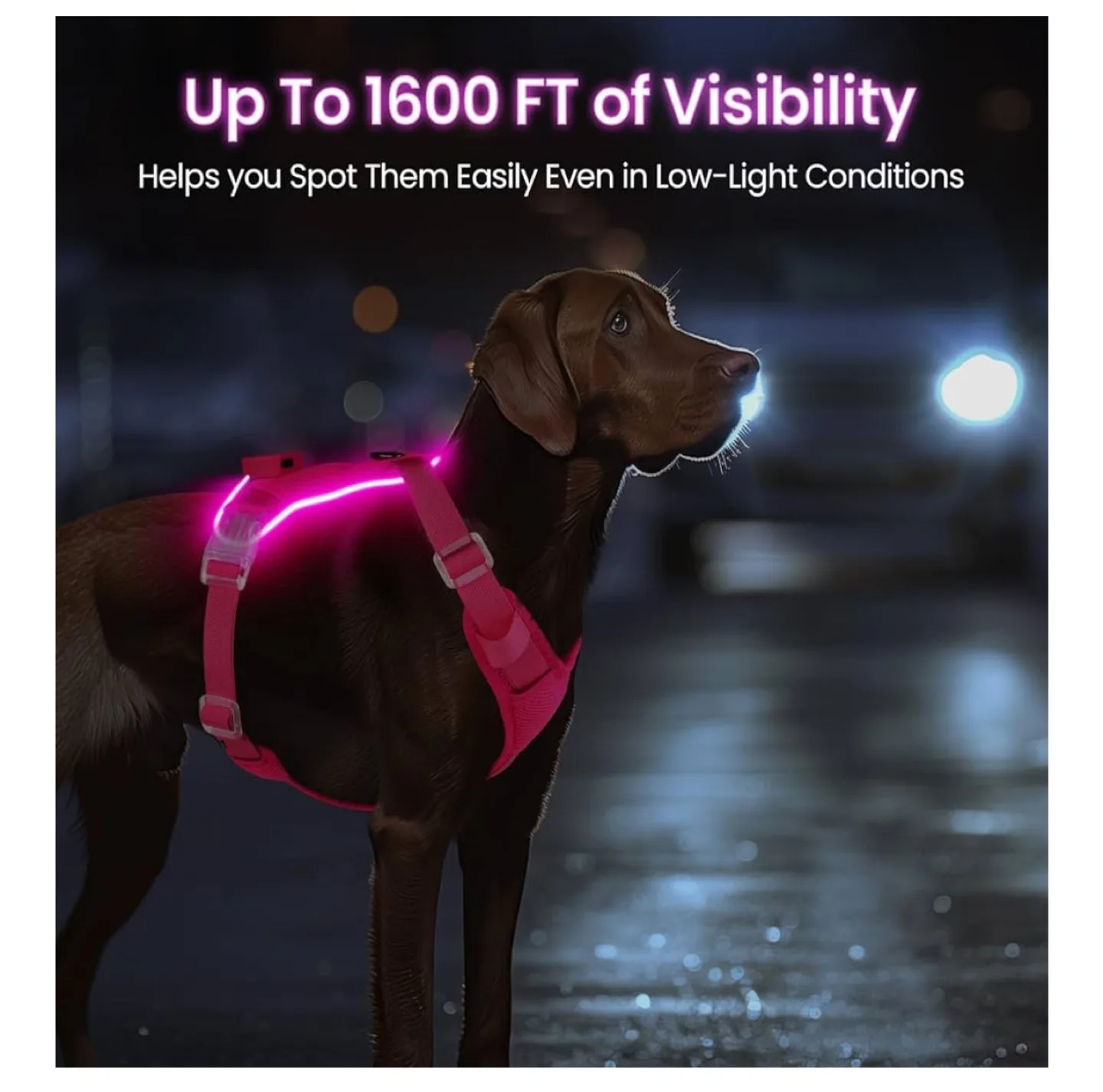 LED Light Up Dog Harness - Pink, XL image indicator(3)