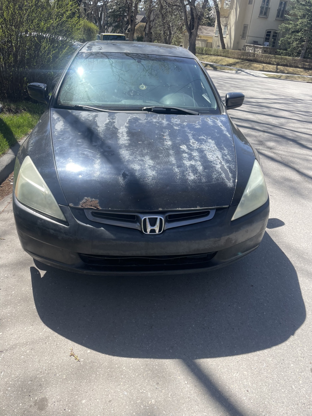 2004 Honda Accord for sale