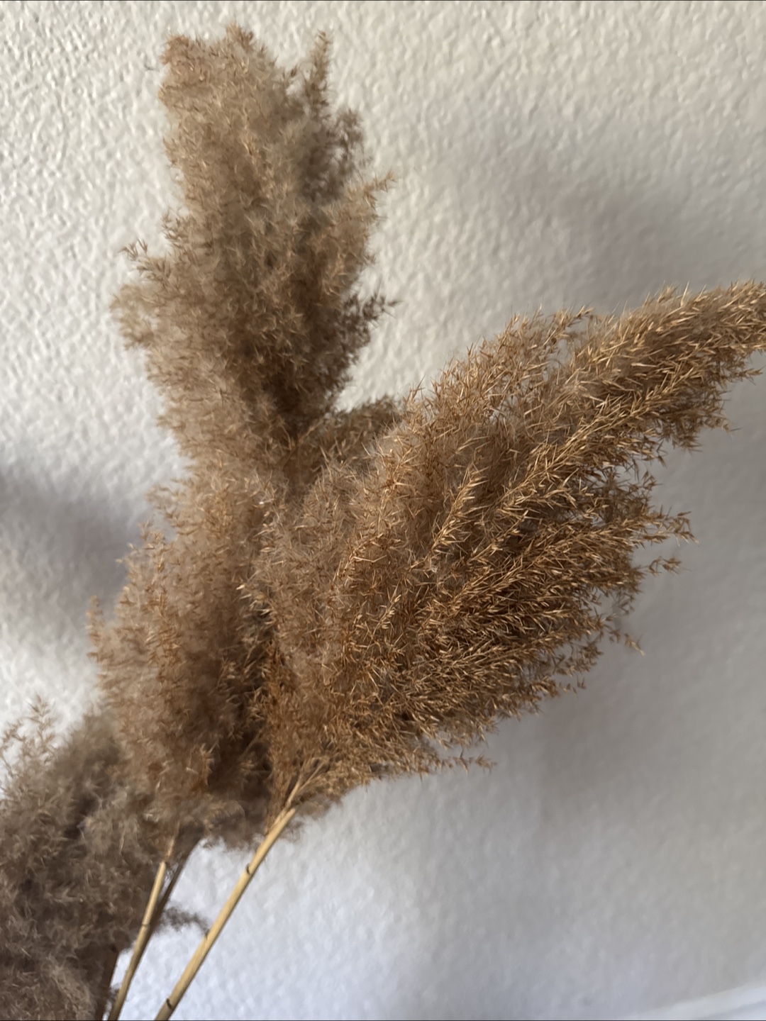 Tall Woven Vase with Pampas Grass - photo 2