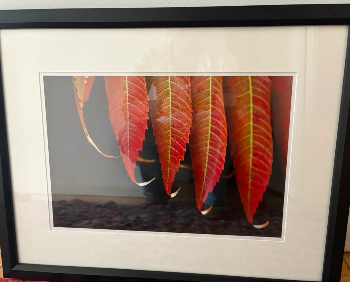 Original Laura Berman Autumn Leaf Photography Print thumbnail