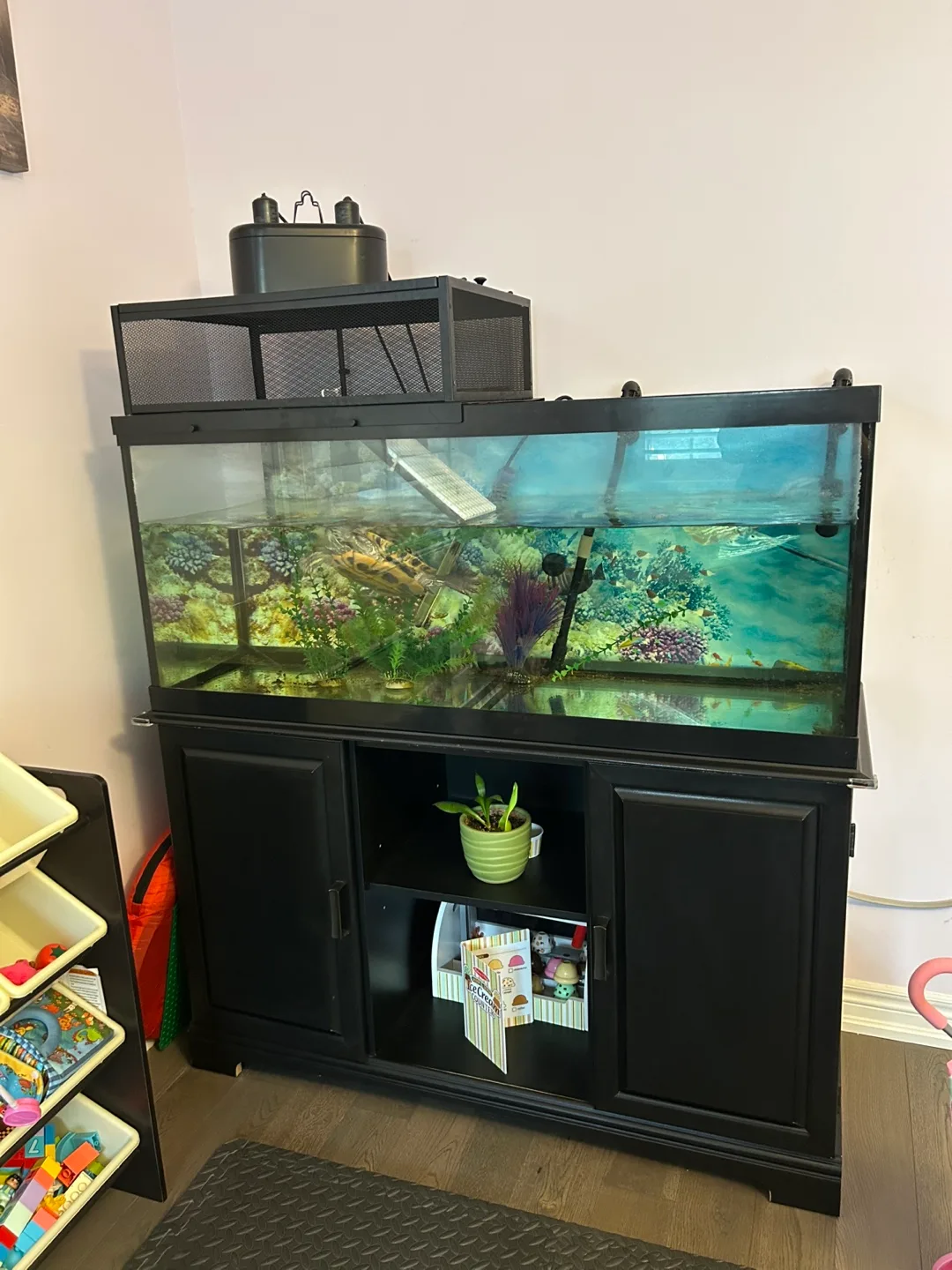 Red Ear Slider & Full 75 Gallon Tank Setup + Accessories image indicator(3)