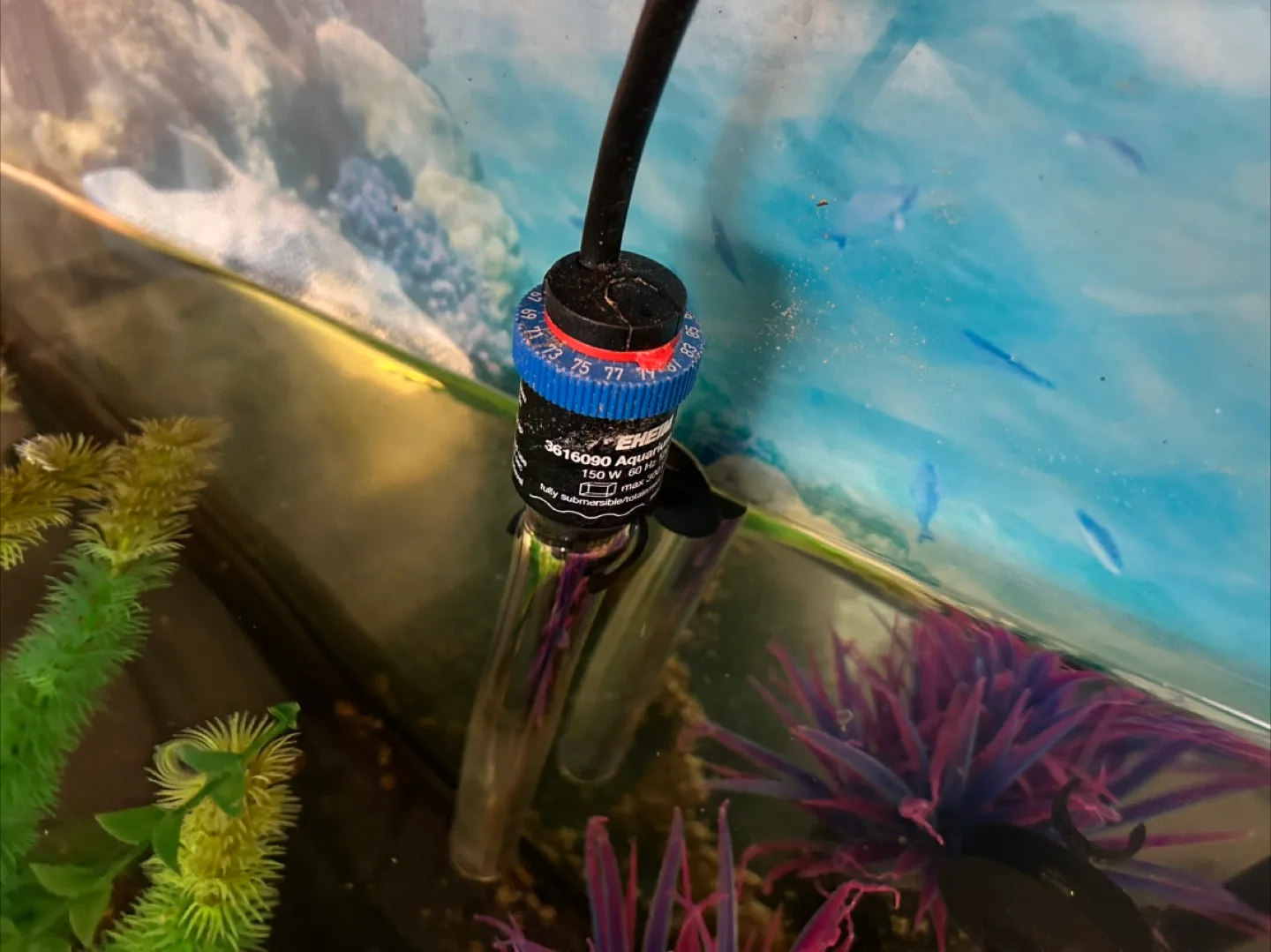 Red Ear Slider & Full 75 Gallon Tank Setup + Accessories image indicator(8)