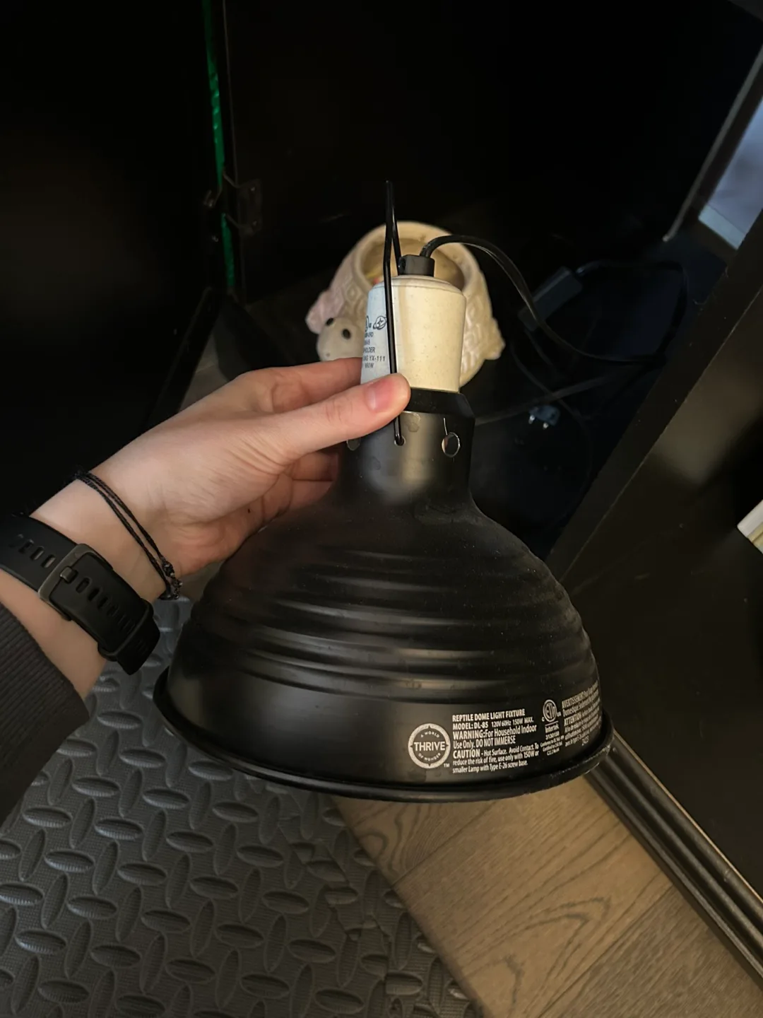 Red Ear Slider & Full 75 Gallon Tank Setup + Accessories image indicator(9)