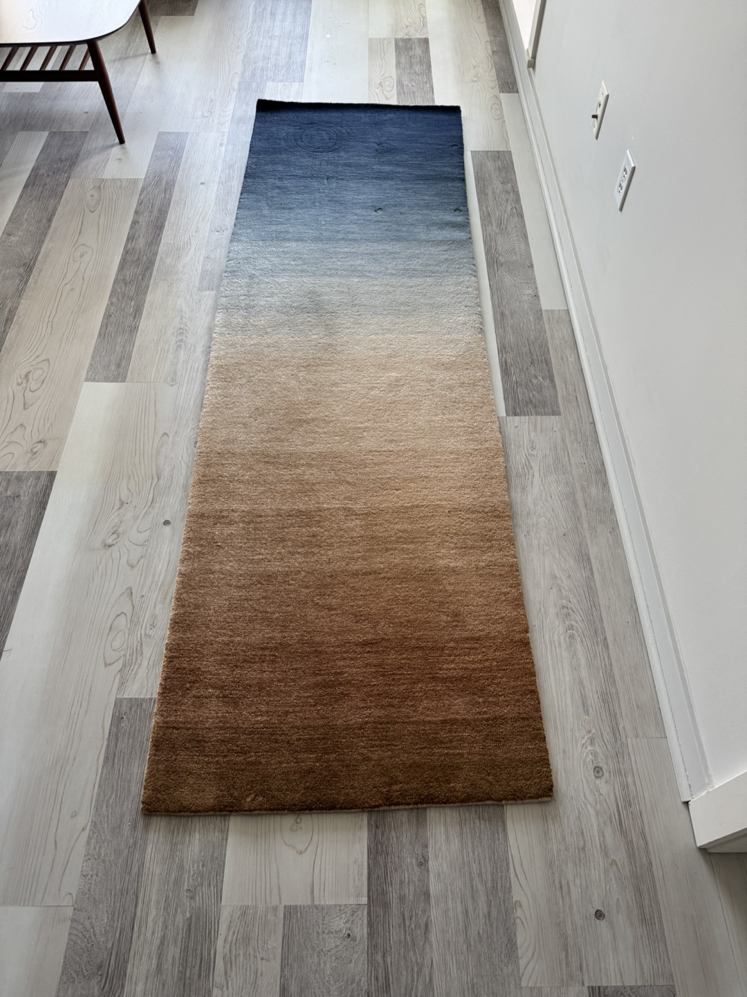 CB2 Ombre Area Rug