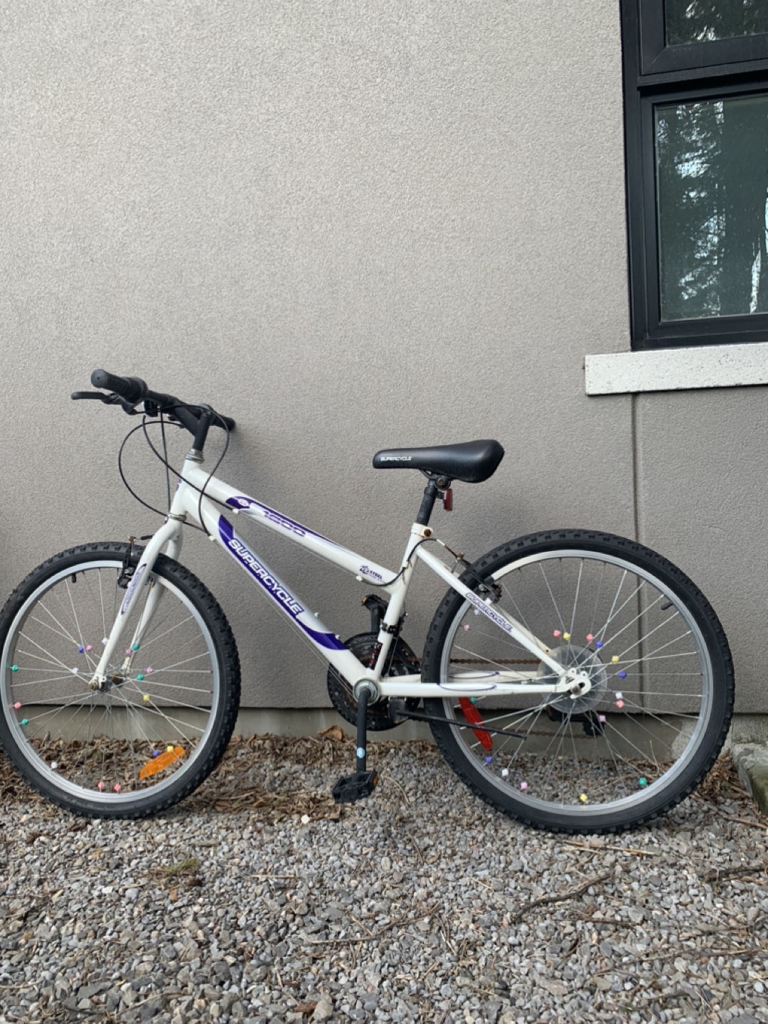 SpeedCycle Girls' Mountain Bike