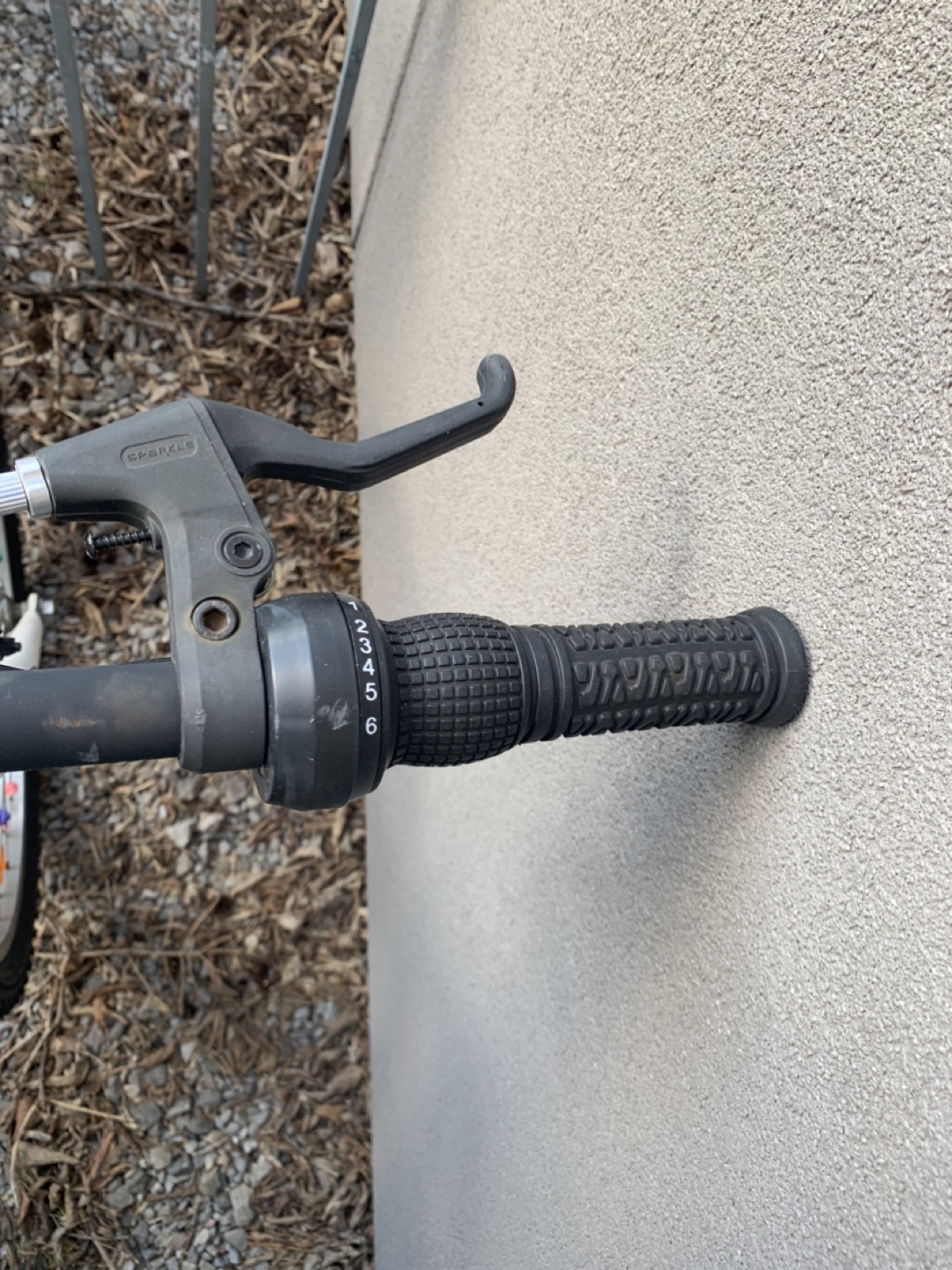 SpeedCycle Girls' Mountain Bike - photo 3