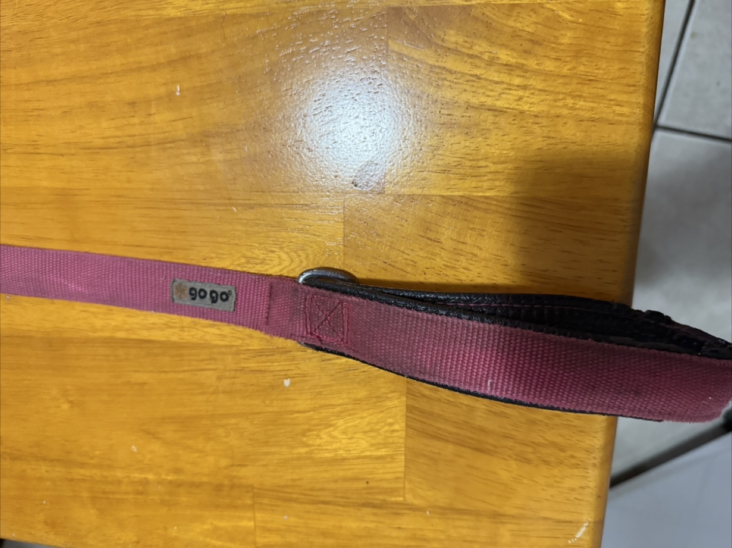 Joyride Harness and Ogo Dog Leash - photo 4