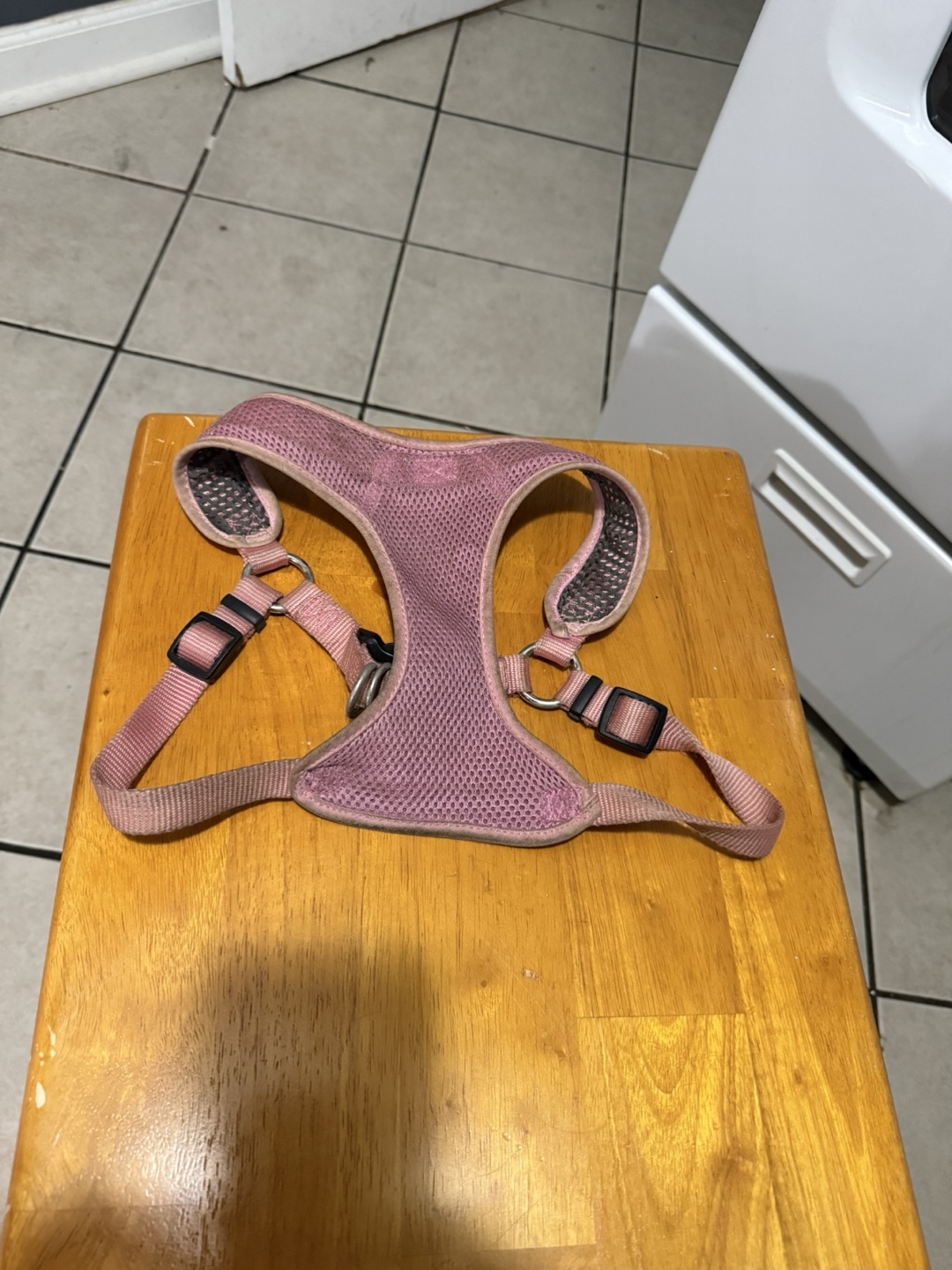 Joyride Harness and Ogo Dog Leash - photo 3