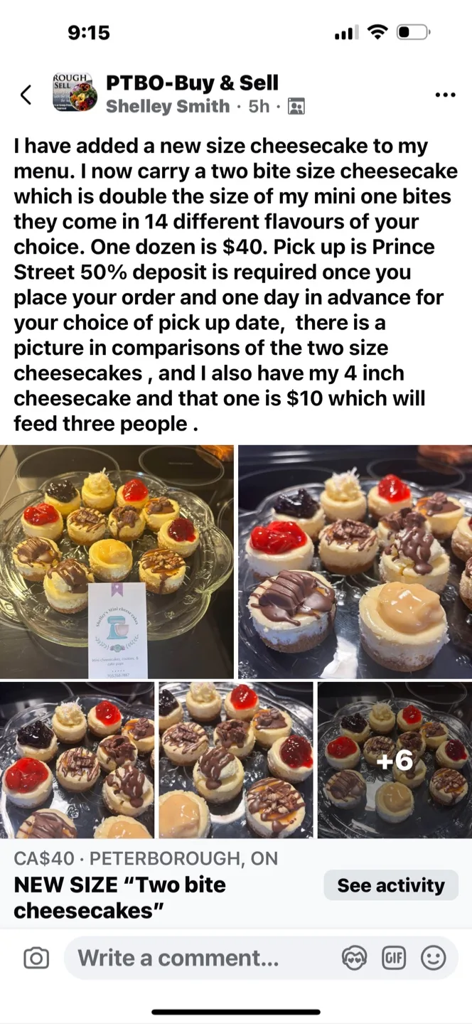 Mini Cheesecakes - Dozen image indicator(5)