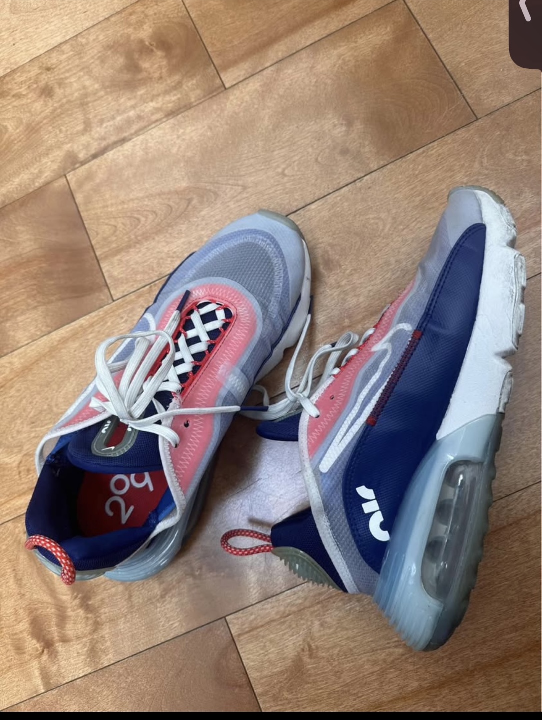 Nike Air Max 2090 Sneakers