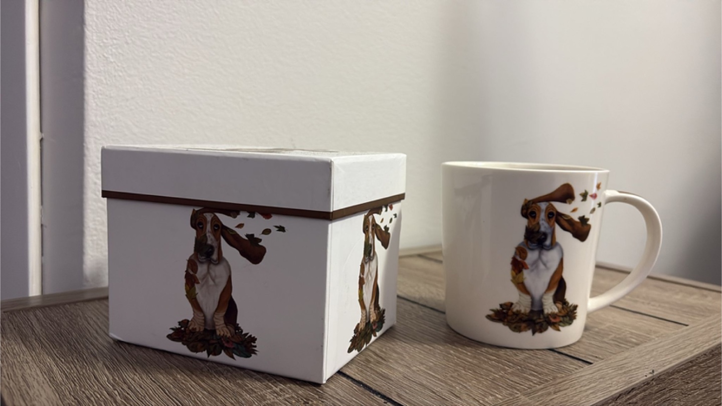 Basset Hound Mug and Gift Box Set