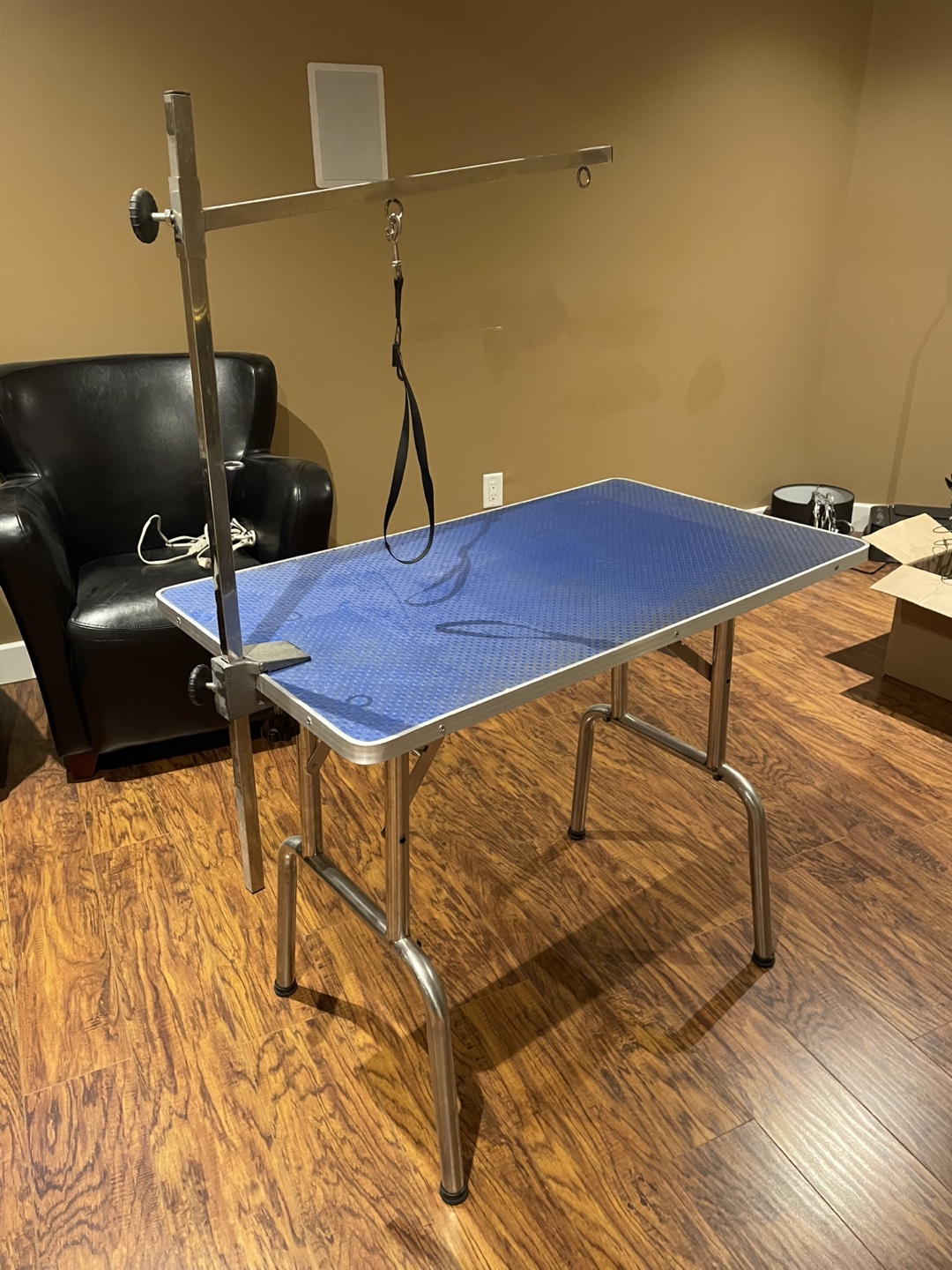 Pet Grooming Table with Arm