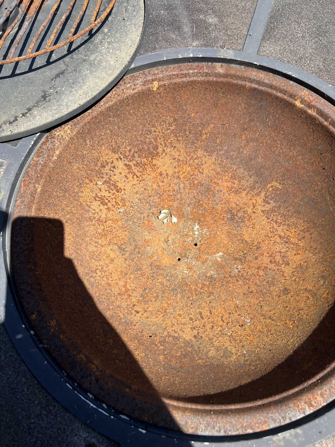 Outdoor Fire Pit with Grill - photo 4